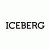 Iceberg