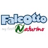 Falcotto